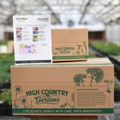 August Afternoons Pre-Planned Garden -High Country Gardens Shop august ppg ship