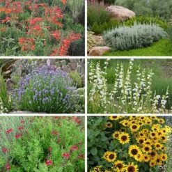 FireSmart Collection - Zone 2 13 FireSmart Collection - Zone 2 -High Country Gardens Shop firewise zone 2 10 15 24