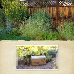 Habitat Hero Birdwatcher Pre-Planned Garden -High Country Gardens Shop habitat hero before after