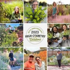 Walker's Low Nepeta -High Country Gardens Shop hcg pdp persuasion social proof v3 1 1 13