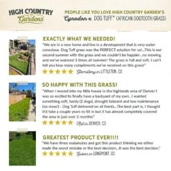 Dog Tuff™ Grass Plugs -High Country Gardens Shop hcg pdp testimonials dog tuff
