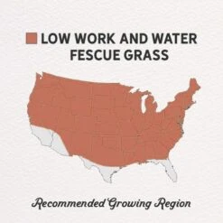 Low Work And Water Dwarf Fescue Grass Seed -High Country Gardens Shop low work and water seed mix regions