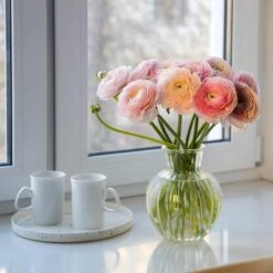 Pastel Ranunculus Mix -High Country Gardens Shop pastel ranunculus mix pastel persian buttercup mix window still vase
