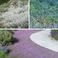 Quick Cover Collection -High Country Gardens Shop quick cover collection collage