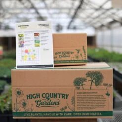 Summer Showstopper Pre-Planned Garden -High Country Gardens Shop summer ppg ship 1