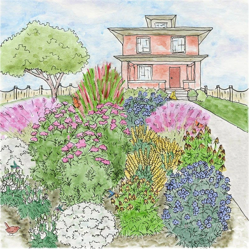 Watershed Wise Pre-Planned Garden 2 Watershed Wise Pre-Planned Garden - Image 2